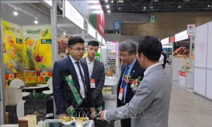 Doanh nghiệp Việt Nam khẳng định vị thế tại Triển lãm Thực phẩm lớn nhất Hàn Quốc