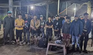Tạm giữ 13 người nhập cảnh trái phép từ Campuchia về Việt Nam
