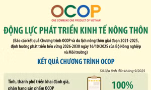 OCOP: Động lực phát triển kinh tế nông thôn