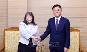 Phó Thủ tướng Lê Thành Long tiếp Giám đốc UNICEF khu vực Đông Á – Thái Bình Dương