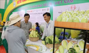 Khai mạc Hội chợ Nông nghiệp Quốc tế Việt Nam năm 2019