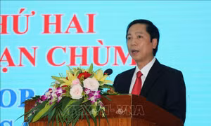 Khảo sát dấu vết bom đạn chùm