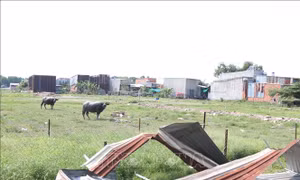 TP Hồ Chí Minh 'tuyên chiến' với nạn xây nhà không phép tại huyện Bình Chánh