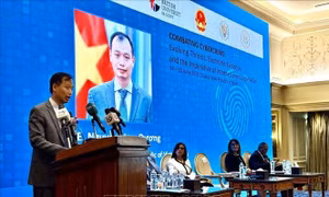 Ai Cập thúc đẩy triển khai Công ước Hà Nội về chống tội phạm mạng