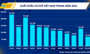 Cung – cầu thay đổi, giá cà phê sẽ thế nào những tháng đầu năm 2023