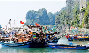 Công khai 35 điểm neo đậu tàu thuyền trên vịnh Hạ Long và Bái Tử Long
