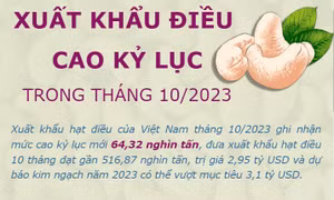 Xuất khẩu điều cao kỷ lục trong tháng 10 năm 2023