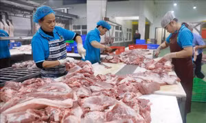 Ngày mùng 2 Tết giá cả cơ bản ổn định