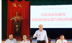 Đắk Lắk: Đề xuất thanh tra toàn diện Công ty Cổ phần cà phê Thắng Lợi