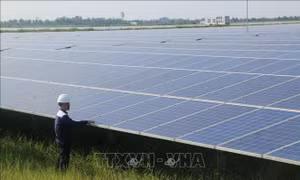 Phê duyệt Nhiệm vụ lập Quy hoạch tổng thể về năng lượng quốc gia
