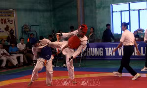 Thành phố Hội An dẫn đầu tại Giải Taekwondo các câu lạc bộ tỉnh Quảng Nam năm 2024