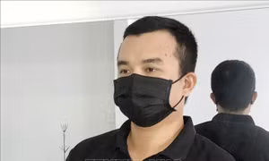 Cà Mau: Bắt đối tượng lừa đảo hàng chục tỷ đồng