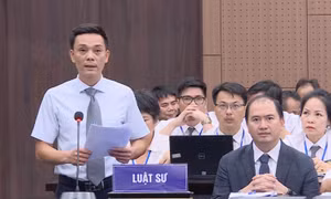 Vụ 'Chuyến bay giải cứu': Nhiều bị cáo không đòi hỏi nhưng cũng không tránh được cám dỗ