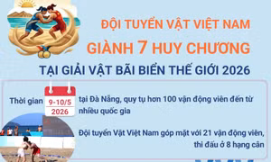  Giải Vật Bãi biển Thế giới 2026: Việt Nam giành 7 Huy chương 