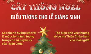 Cây thông Noel - biểu tượng cho lễ Giáng sinh
