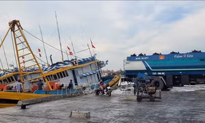 Ngư dân kỳ vọng chuyến biển cuối năm