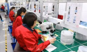 Cùng hành động để người khuyết tật tiếp cận và sống độc lập 