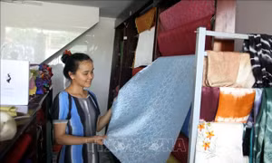 Bảo tồn, phát triển làng nghề truyền thống lụa Mã Châu