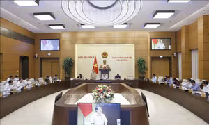 Đánh giá toàn diện việc thực hiện các nghị quyết về giám sát chuyên đề và chất vấn