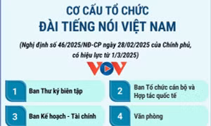 Cơ cấu tổ chức của Đài Tiếng nói Việt Nam