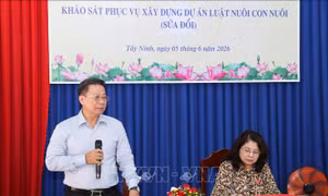 Nghiên cứu bổ sung điều kiện nhận con nuôi, bảo đảm quyền lợi tốt nhất cho trẻ em