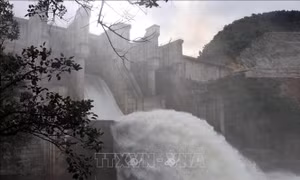 Cấp thiết rà soát hệ thống thủy điện - Bài 2: Góc nhìn chuyên gia sau mùa lũ cực đoan
