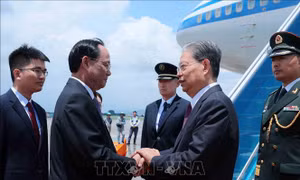Ủy viên trưởng Nhân đại toàn quốc Trung Quốc Triệu Lạc Tế đến Hà Nội, bắt đầu thăm chính thức Việt Nam