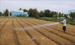 Bạc Liêu nỗ lực giảm nghèo bền vững