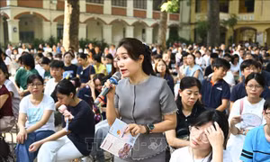 Lựa chọn môn học - tương lai của học sinh