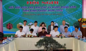 Bình Phước: Kết nối tiêu thụ trái cây và hàng nông sản