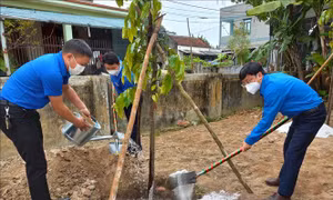 Tuổi trẻ Quảng Bình đẩy mạnh các hoạt động tình nguyện vì cộng đồng 