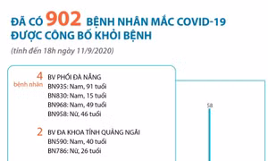 Đã có 902 bệnh nhân mắc COVID-19 được công bố khỏi bệnh