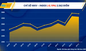 Giá hàng hoá nguyên liệu diễn biến trái chiều, xu hướng giảm chiếm ưu thế