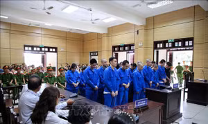 25 bị cáo trong đường dây lừa đảo online hoạt động tại Campuchia lĩnh án