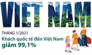 Tháng 1/2021: Khách quốc tế đến Việt Nam giảm 99,1% 