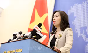 Việt Nam tích cực phối hợp khôi phục hoạt động vận chuyển hàng không quốc tế