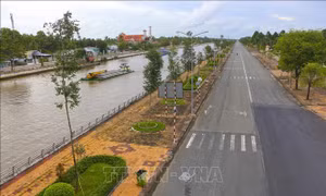 Hậu Giang kiên quyết bảo vệ các 'vùng xanh' 