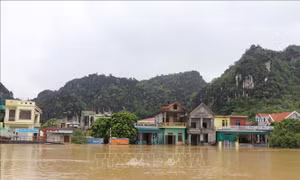 Ninh Bình: Nhiều diện tích hoa màu, thủy sản bị ảnh hưởng do mưa lũ