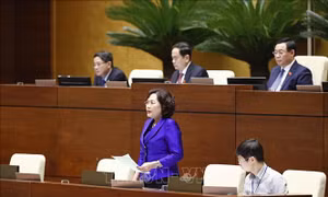 Chủ tịch Quốc hội: Chấn chỉnh 'méo mó' của thị trường, nhưng phải tạo điều kiện thuận lợi cho thị trường phát triển