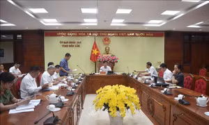 Cấp bách triển khai phòng, chống bệnh dại