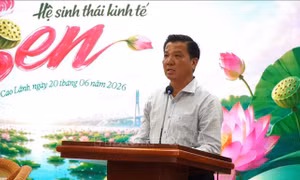 Nâng chất lượng và giá trị cây sen Đồng Tháp