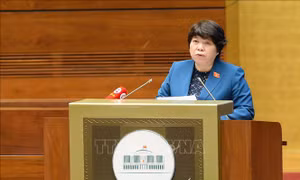 Thực hiện phòng, chống bạo lực gia đình toàn diện, khả thi, có hiệu quả