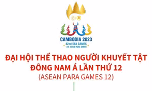 Đại hội Thể thao người khuyết tật Đông Nam Á lần thứ 12