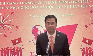 Người Việt Nam tại Nhật Bản nỗ lực đóng góp vào sự phát triển của quê hương