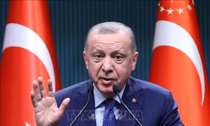 Thổ Nhĩ Kỳ chưa quyết định về đề nghị hỗ trợ vận hành sân bay Kabul của Taliban 