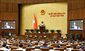 Đảm bảo hài hòa lợi ích trong hoạt động khai thác khoáng sản