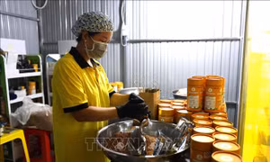Chế biến sâu - nâng tầm giá trị sản phẩm OCOP