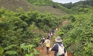 Tăng thu nhập nhờ giữ rừng