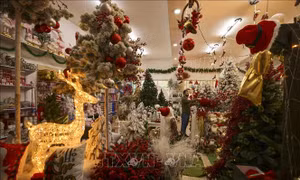Mùa Giáng sinh 'câm lặng' ở thánh địa Bethlehem 