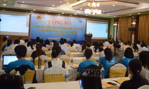 Đà Nẵng: Công bố website và ứng dụng di động bảo vệ, chăm sóc sức khỏe trẻ em